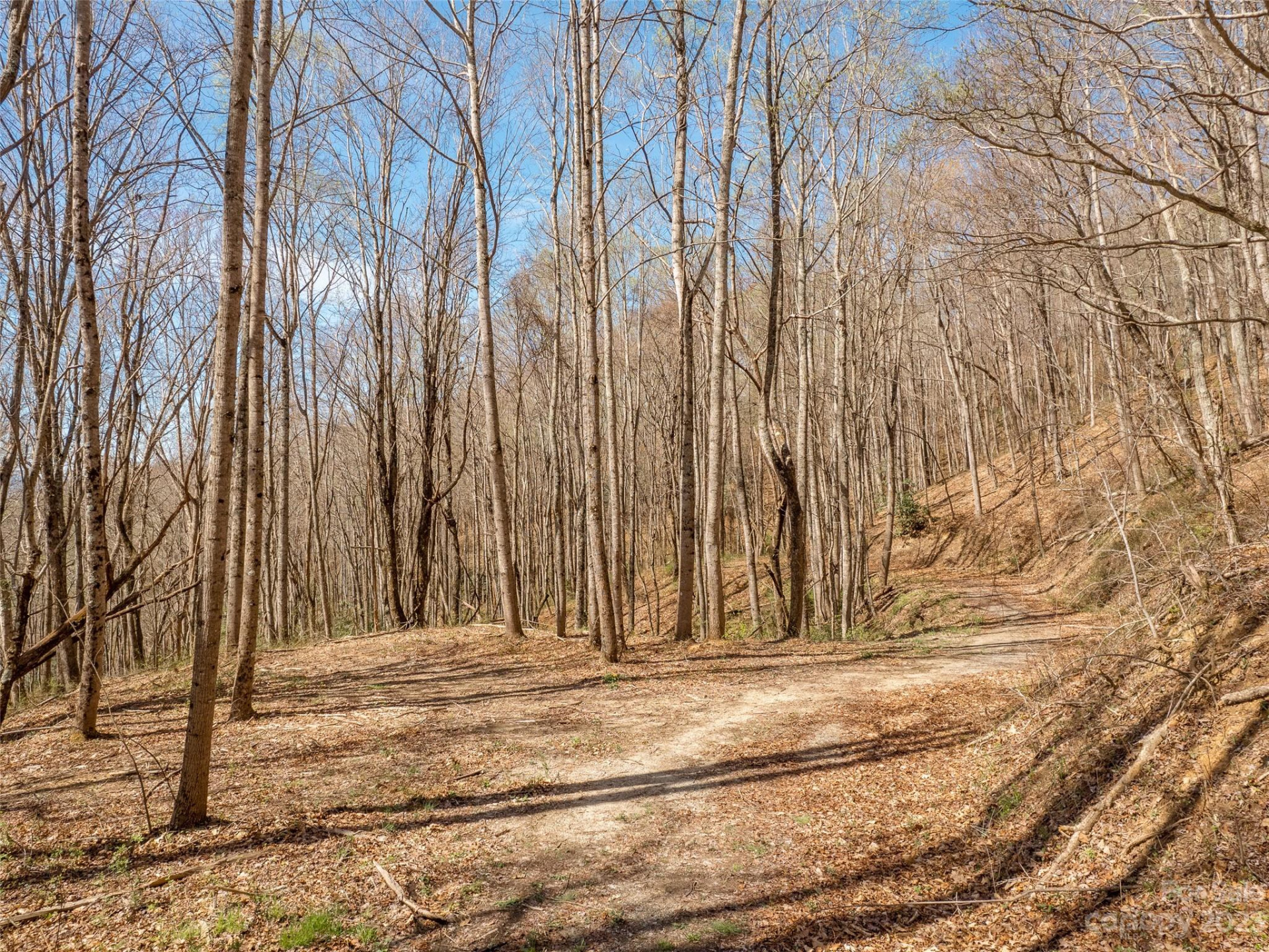9999-6 Merrills Ridge Road #6 - Photo 6