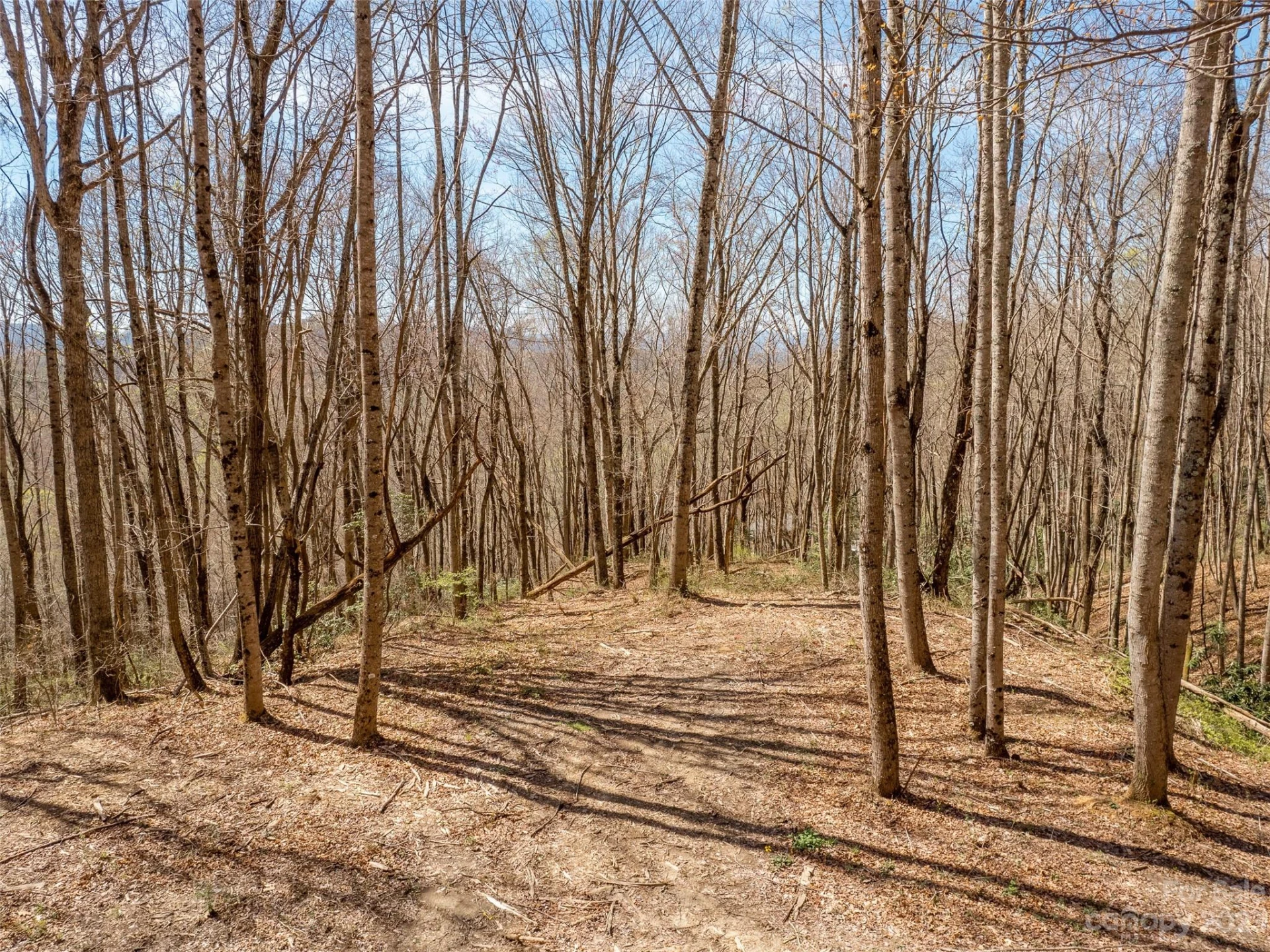 9999-6 Merrills Ridge Road #6 - Photo 7