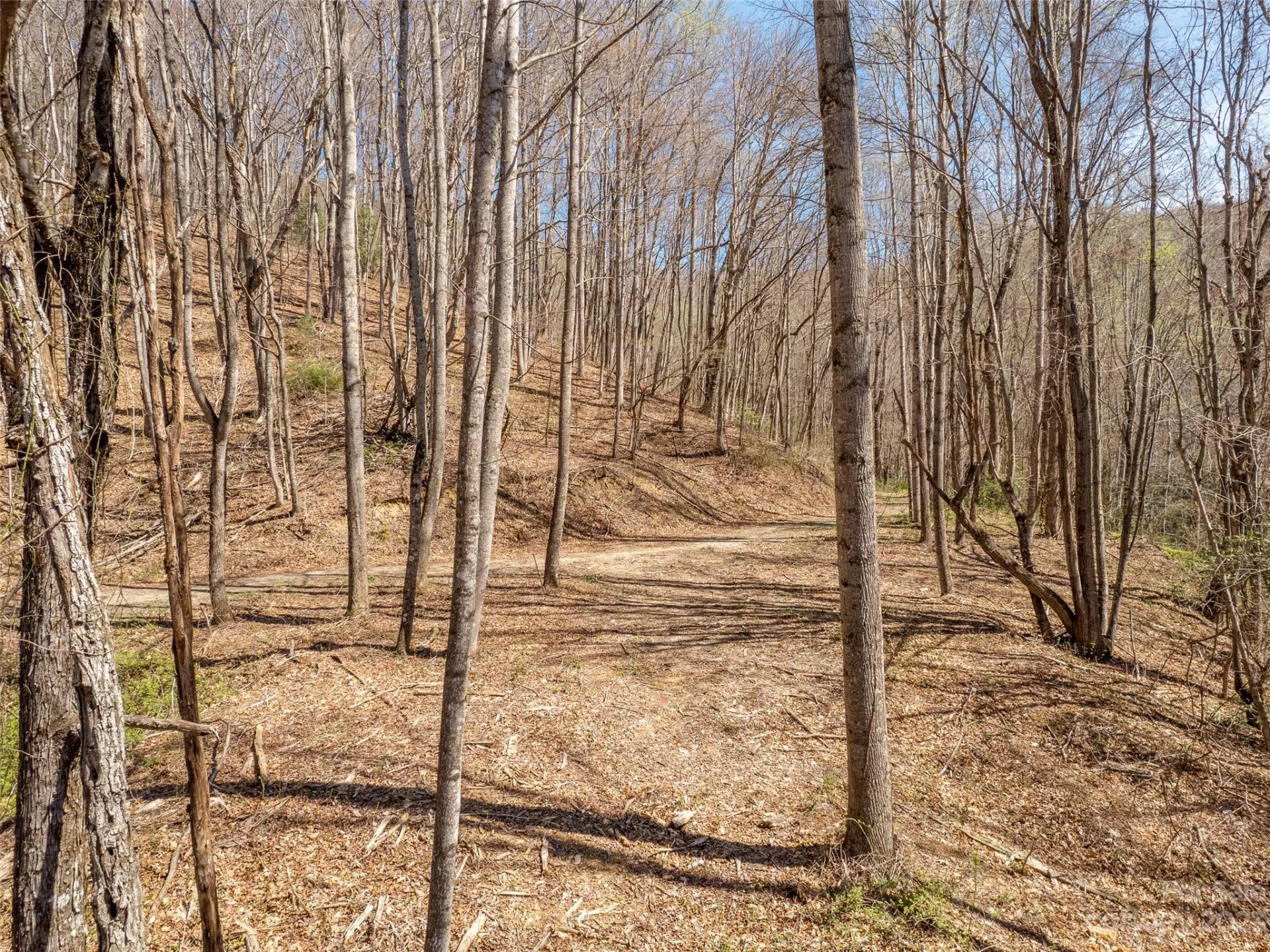 9999-6 Merrills Ridge Road #6 - Photo 8