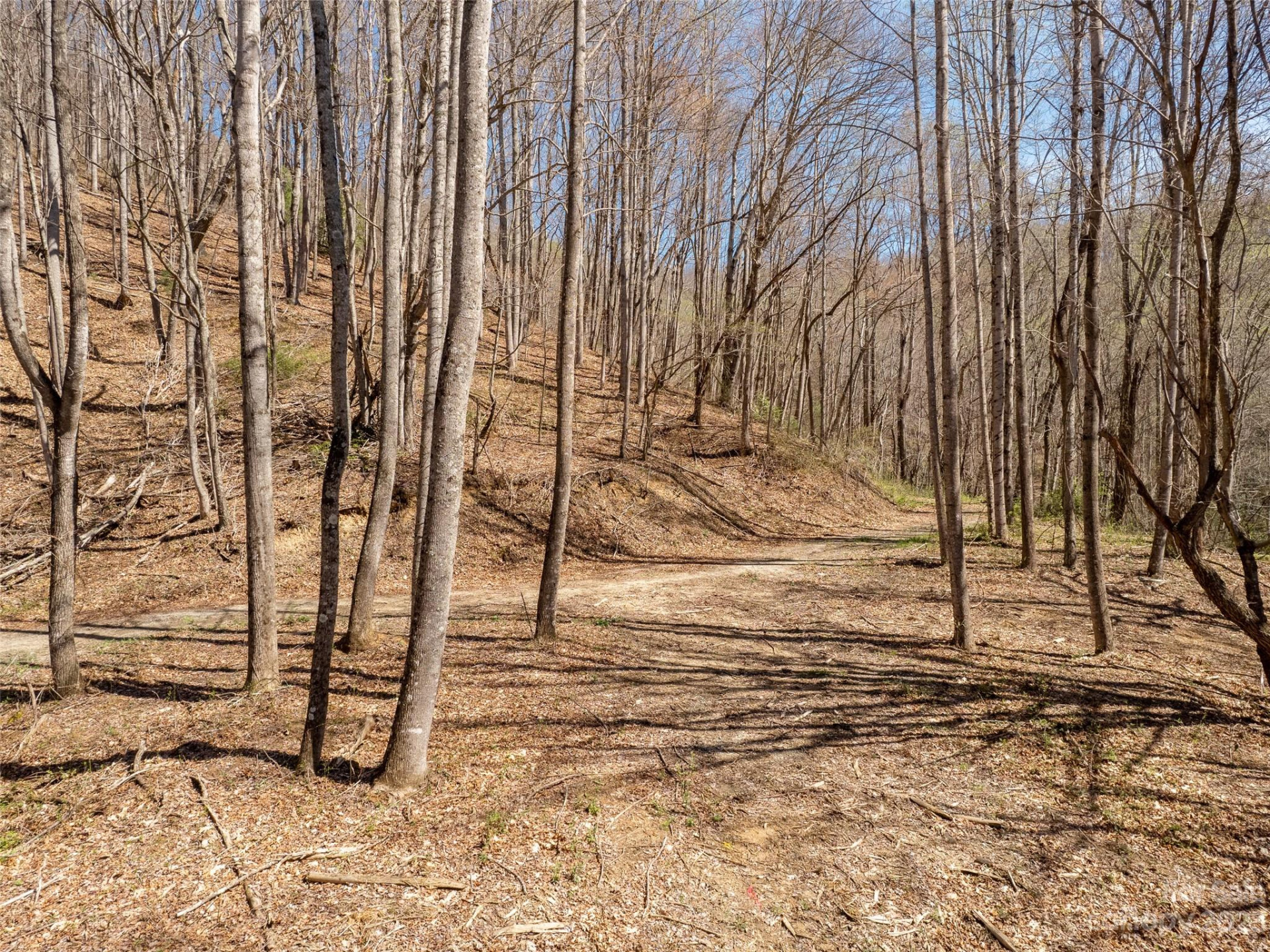 9999-6 Merrills Ridge Road #6 - Photo 9