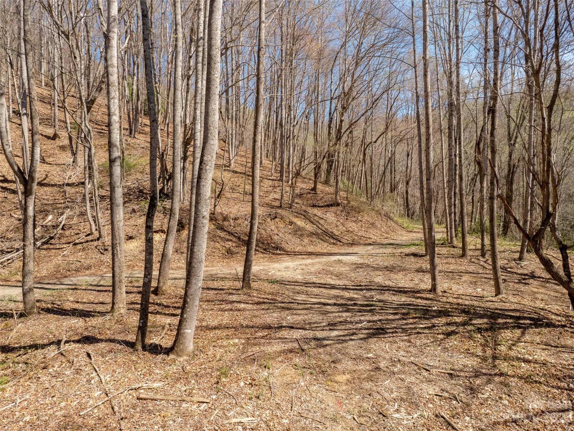 9999-6 Merrills Ridge Road #6 - Photo 9