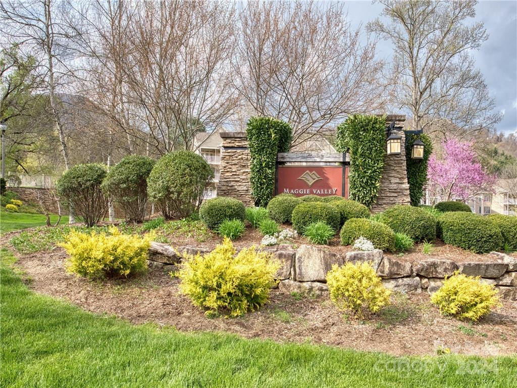 11 Trout Lily Lane #11 - Photo 12