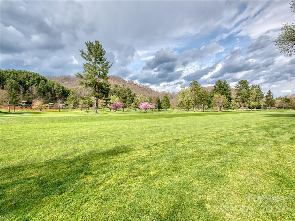 11 Trout Lily Lane #11 - Photo 16