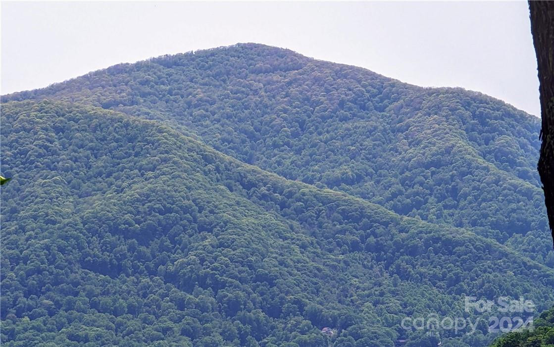 11 Trout Lily Lane #11 - Photo 4