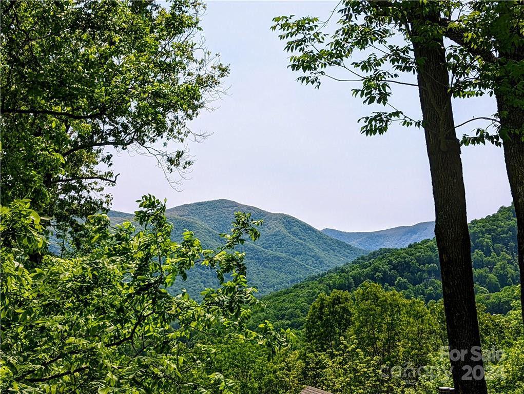 11 Trout Lily Lane #11 - Photo 5