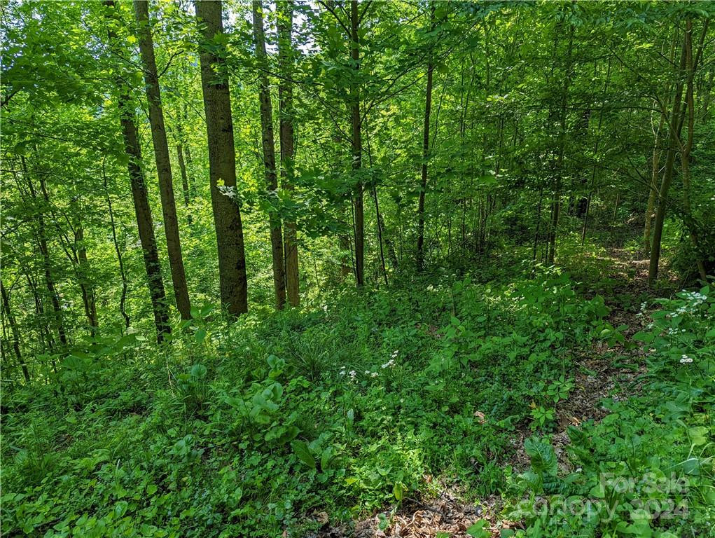 11 Trout Lily Lane #11 - Photo 9