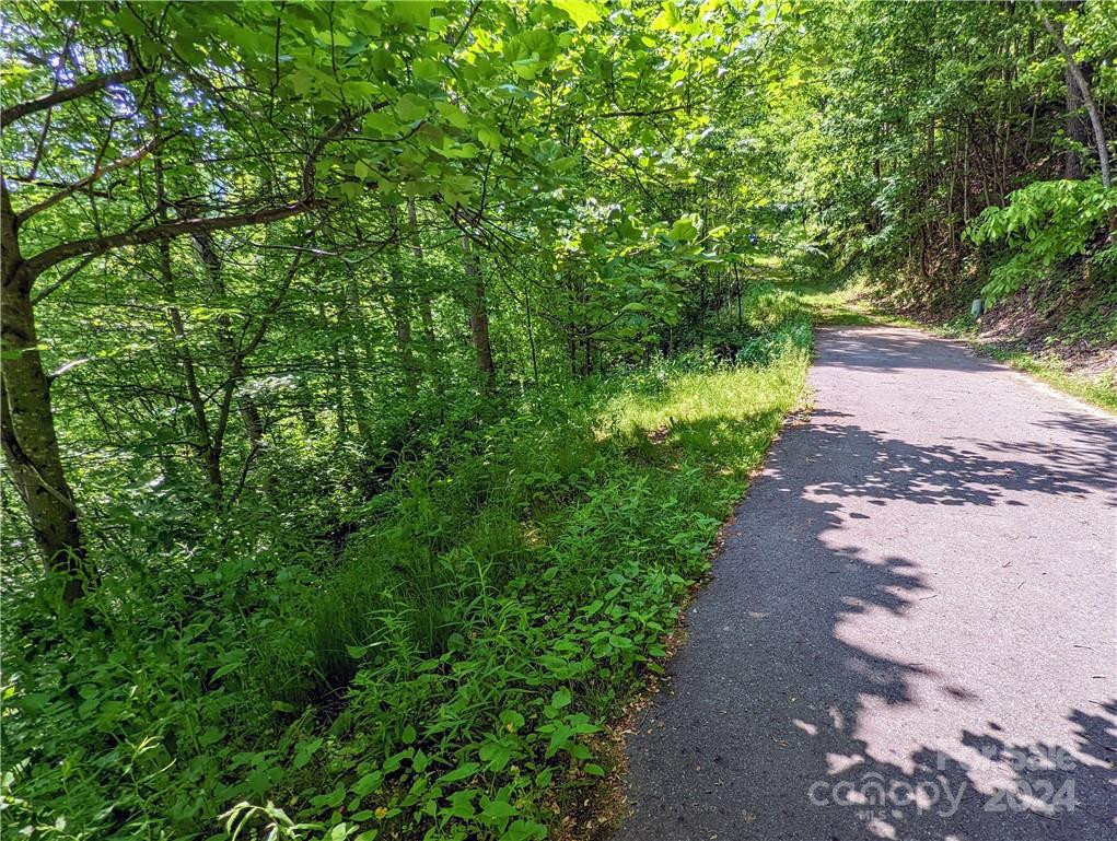 11 Trout Lily Lane #11 - Photo 10