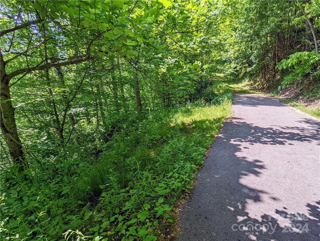 11 Trout Lily Lane #11 - Photo 10