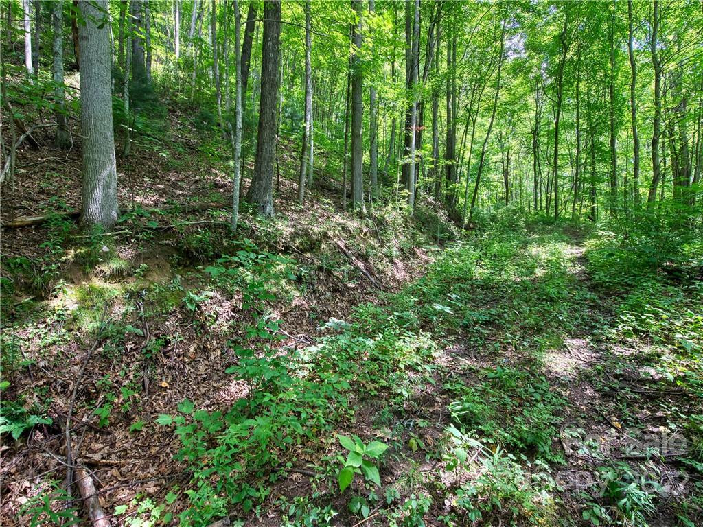 00 Reo Drive - Photo 11