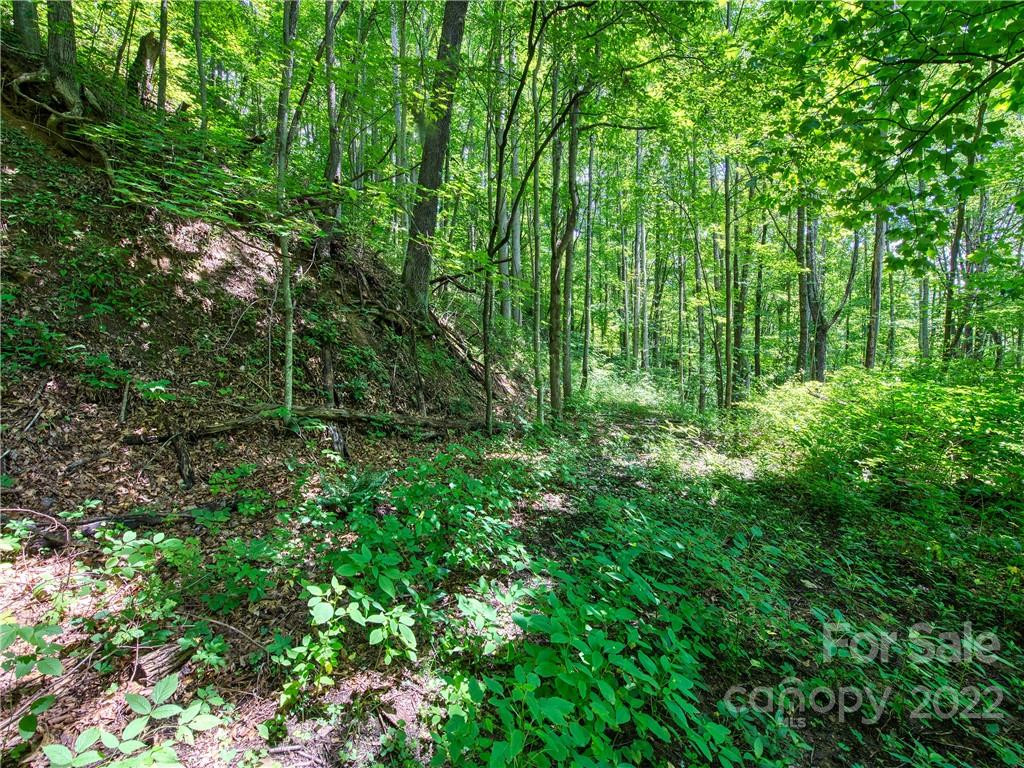 00 Reo Drive - Photo 12