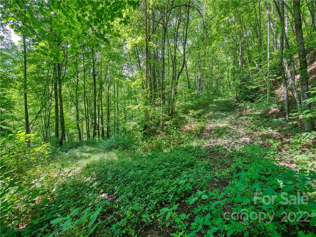 00 Reo Drive - Photo 13