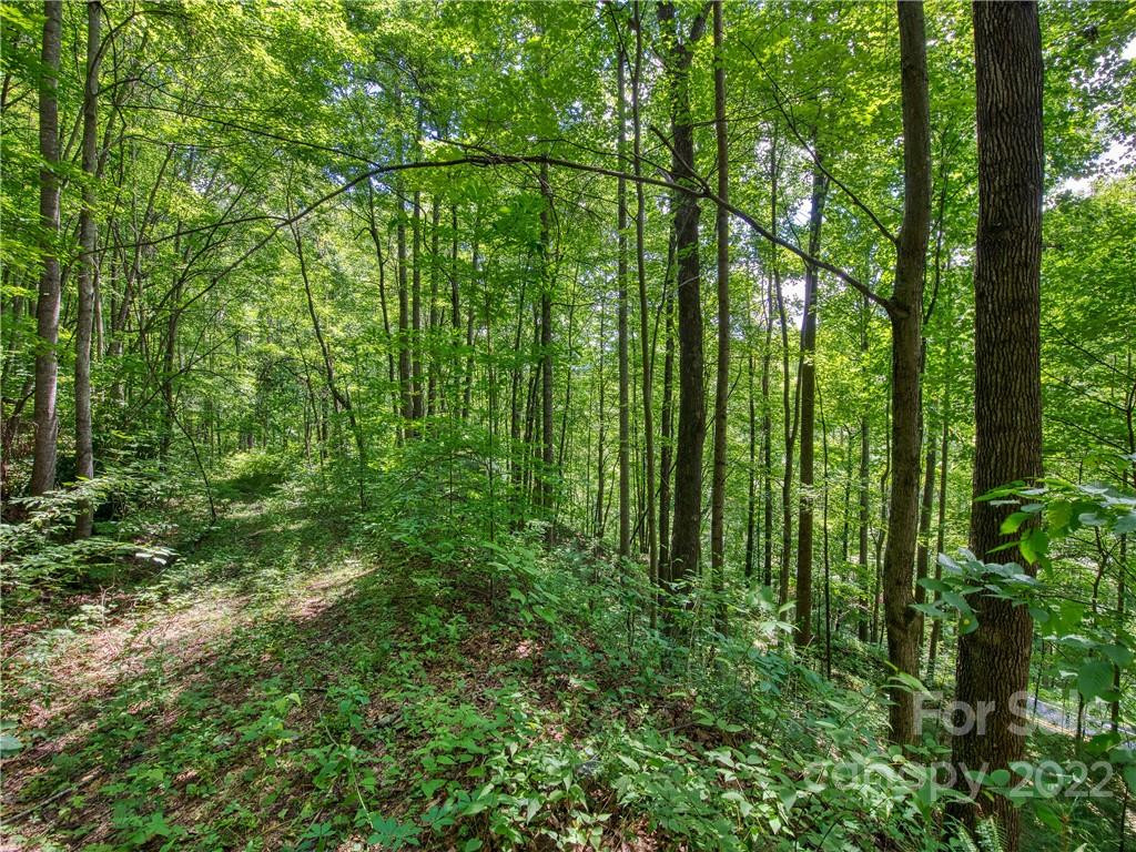 00 Reo Drive - Photo 14