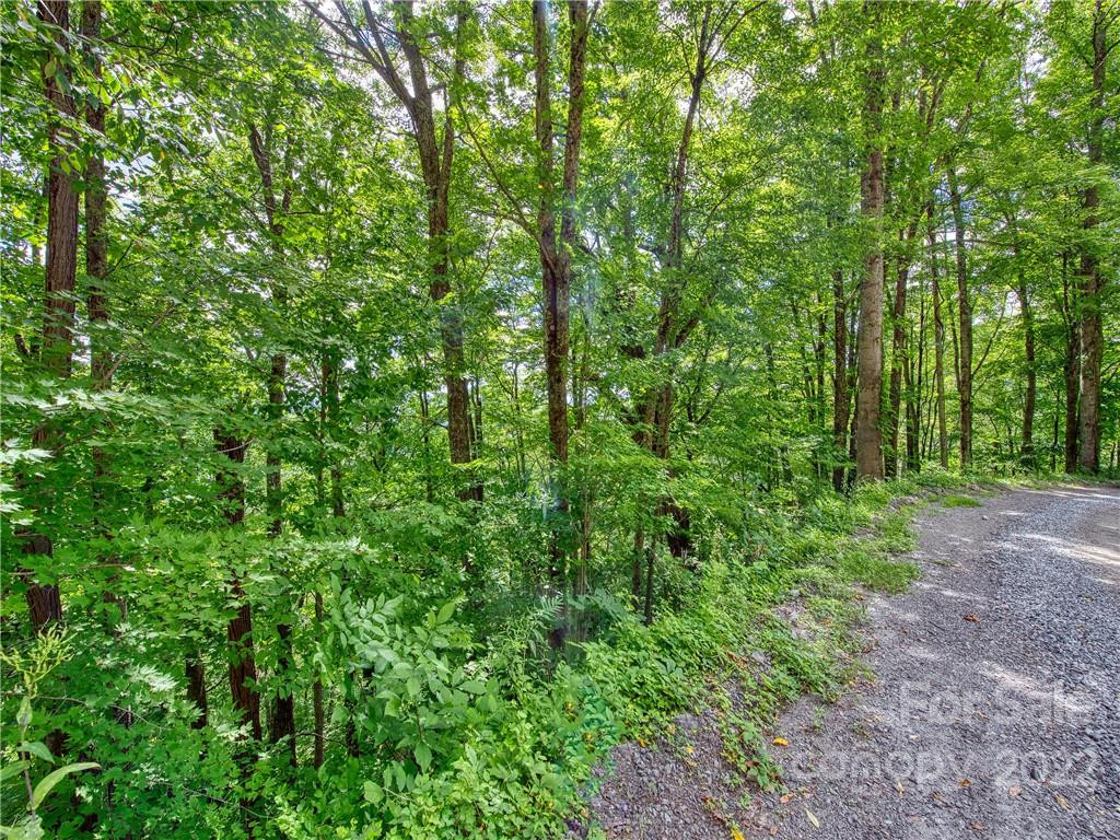 00 Reo Drive - Photo 15