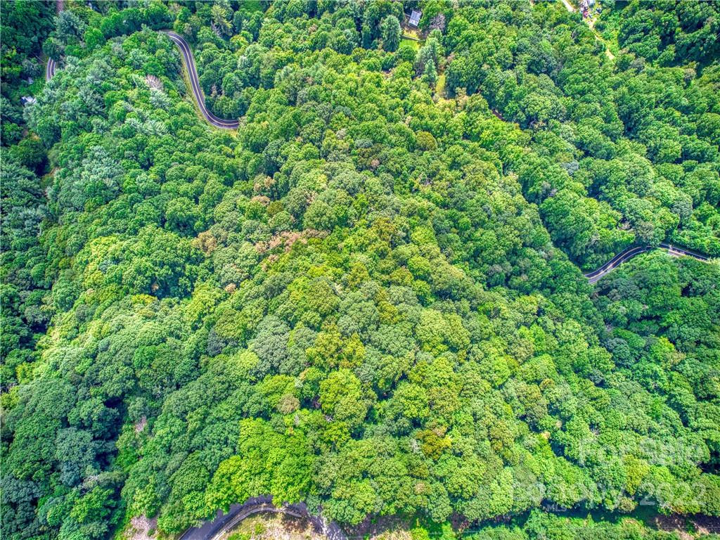 00 Reo Drive - Photo 7