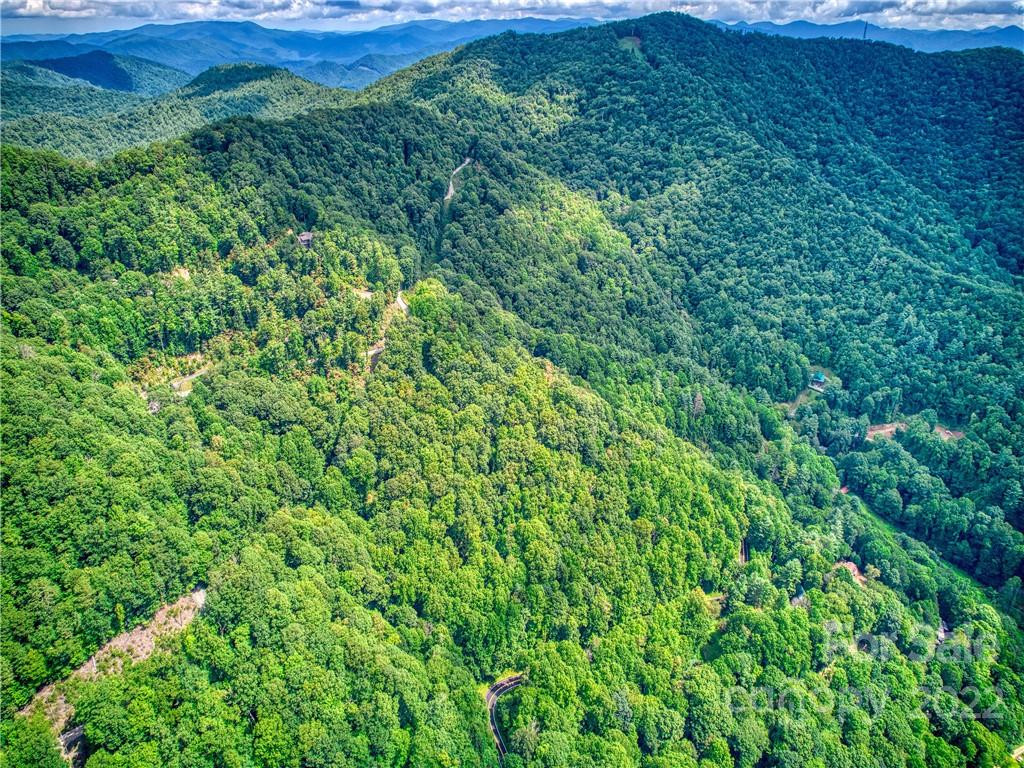 00 Reo Drive - Photo 8