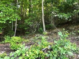 00 Buckeye Drive #35 - Photo 12