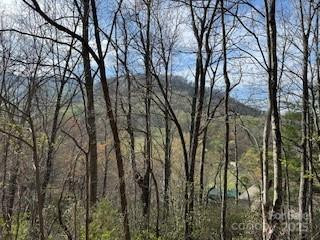 00 Buckeye Drive #35 - Photo 8