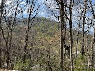 00 Buckeye Drive #35 - Photo 9