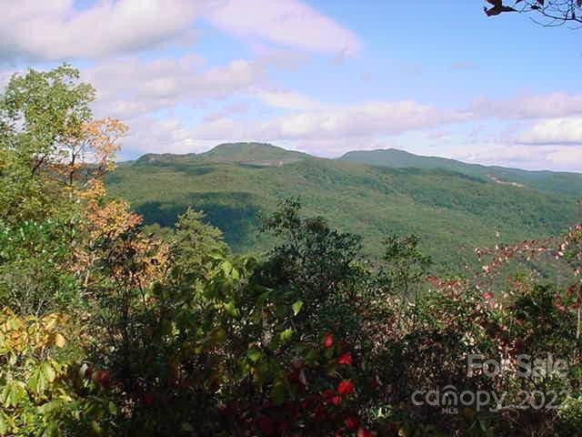 Lot 361 Hickory Nut Lane - Photo 2