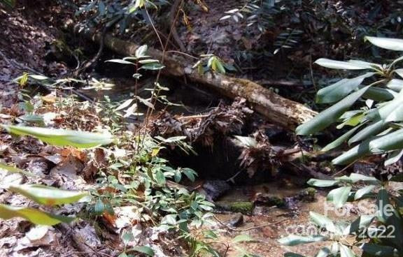 Lot 361 Hickory Nut Lane - Photo 11