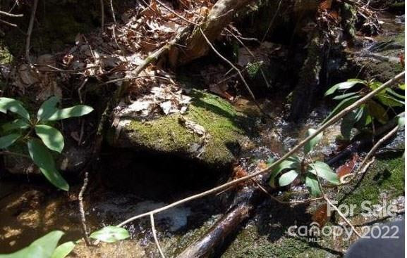 Lot 361 Hickory Nut Lane - Photo 12