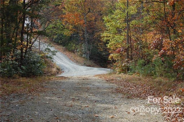 Lot 361 Hickory Nut Lane - Photo 13