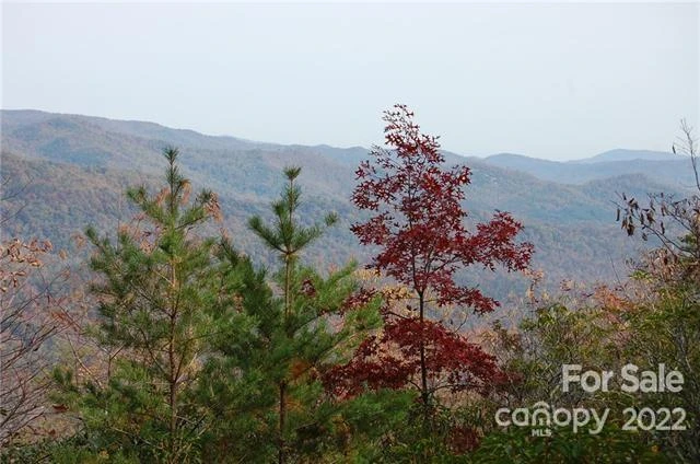 Lot 361 Hickory Nut Lane - Photo 4