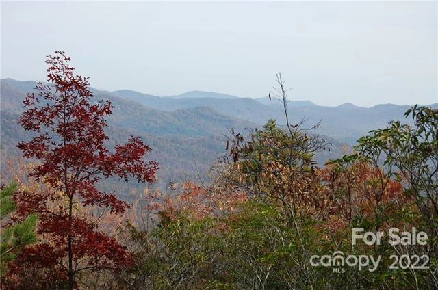 Lot 361 Hickory Nut Lane - Photo 5