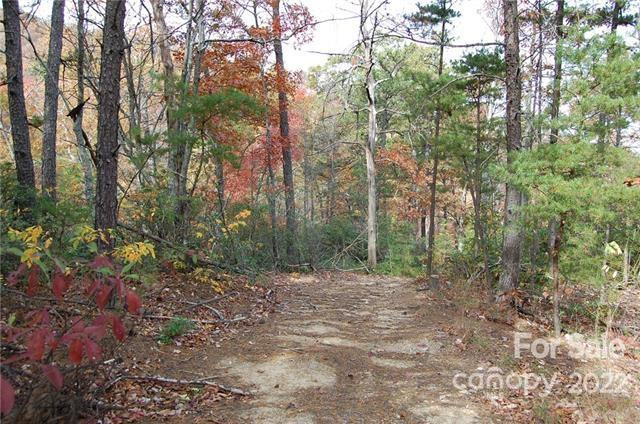 Lot 361 Hickory Nut Lane - Photo 6
