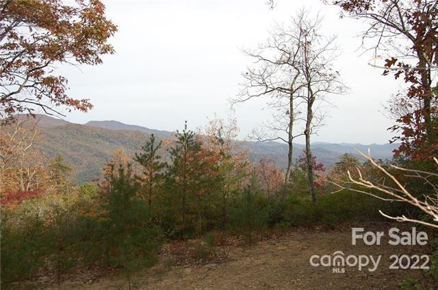 Lot 361 Hickory Nut Lane - Photo 8