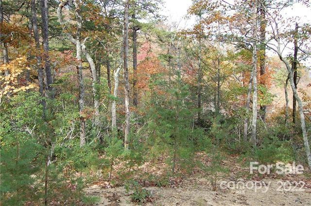 Lot 361 Hickory Nut Lane - Photo 9