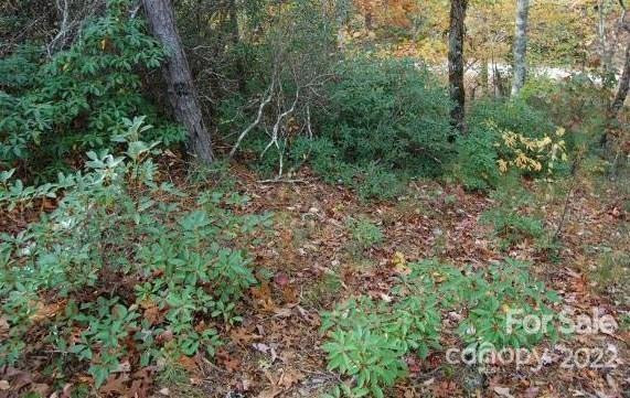 Lot 361 Hickory Nut Lane - Photo 10