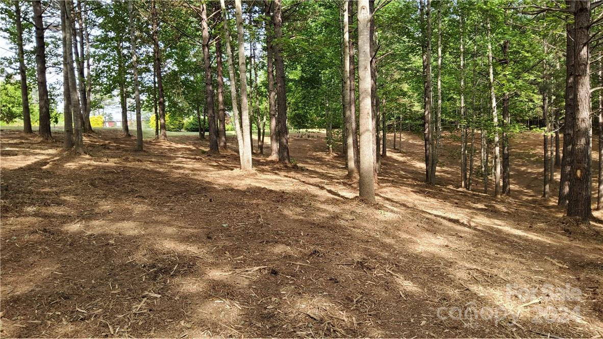 0 Hearthstone Drive #2 - Photo 11