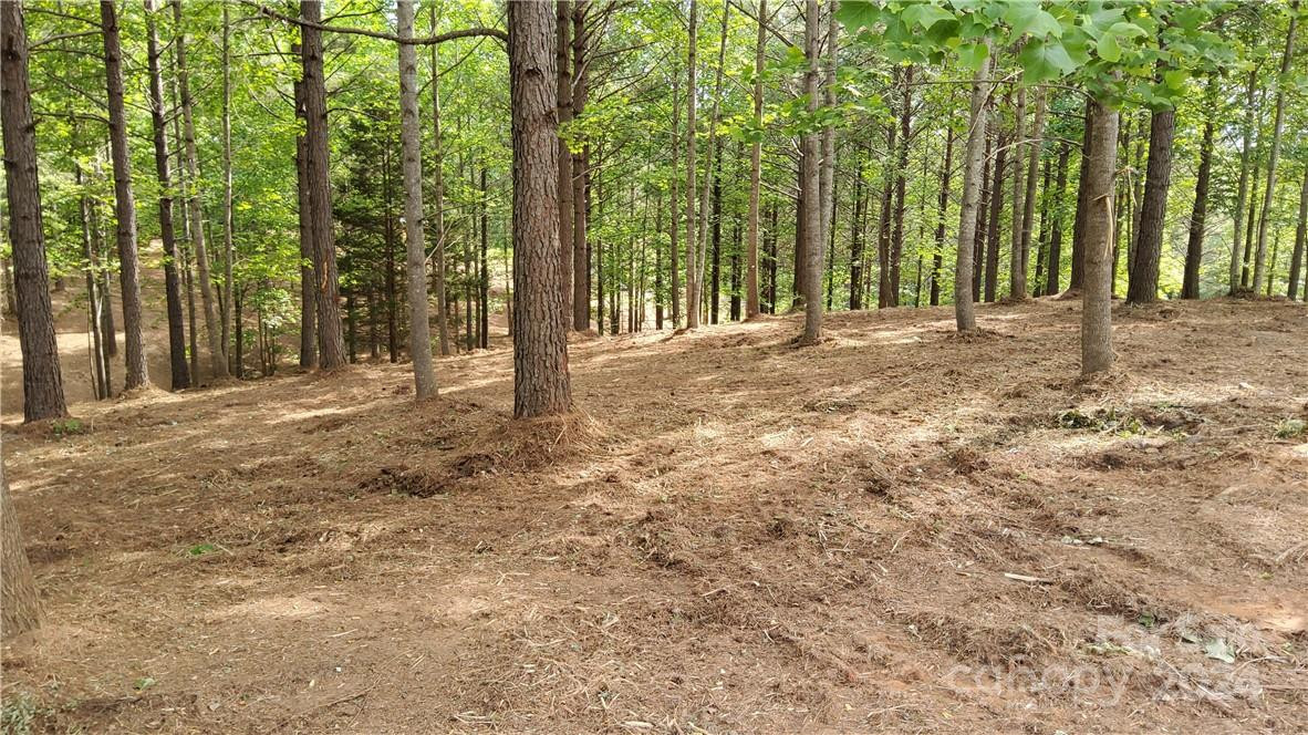 0 Hearthstone Drive #2 - Photo 14