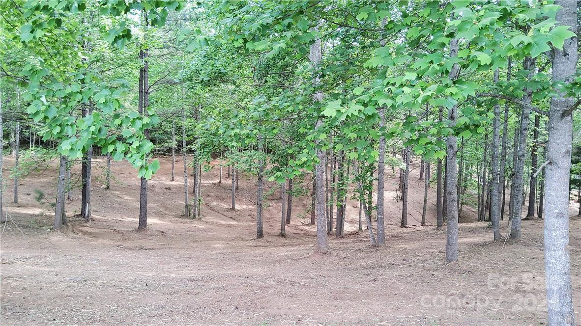 0 Hearthstone Drive #2 - Photo 15