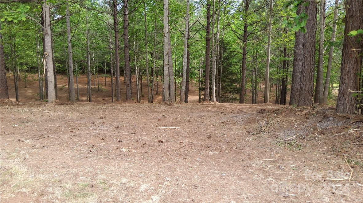 0 Hearthstone Drive #2 - Photo 7