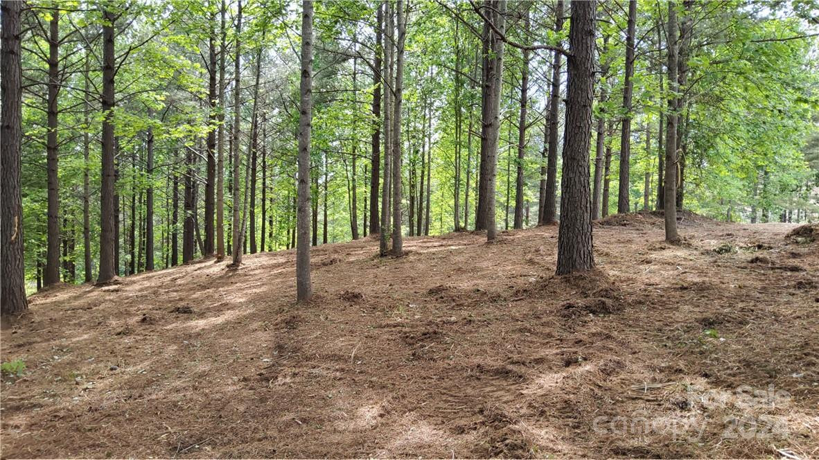 0 Hearthstone Drive #2 - Photo 8