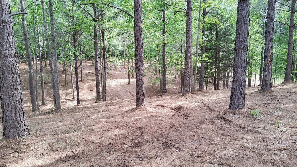 0 Hearthstone Drive #2 - Photo 9