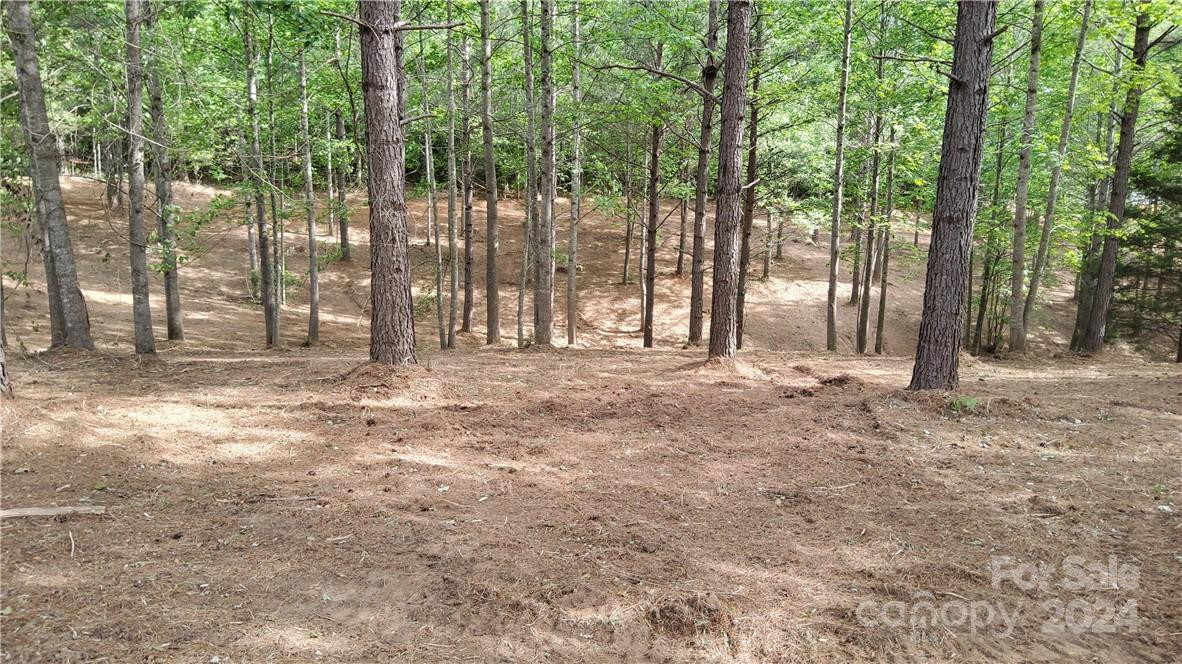 0 Hearthstone Drive #2 - Photo 10