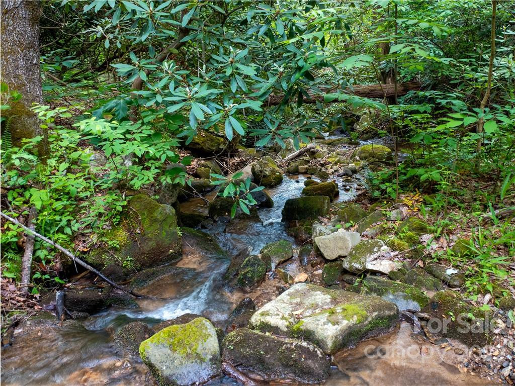 LOT 2072 Anthony Court - Photo 2