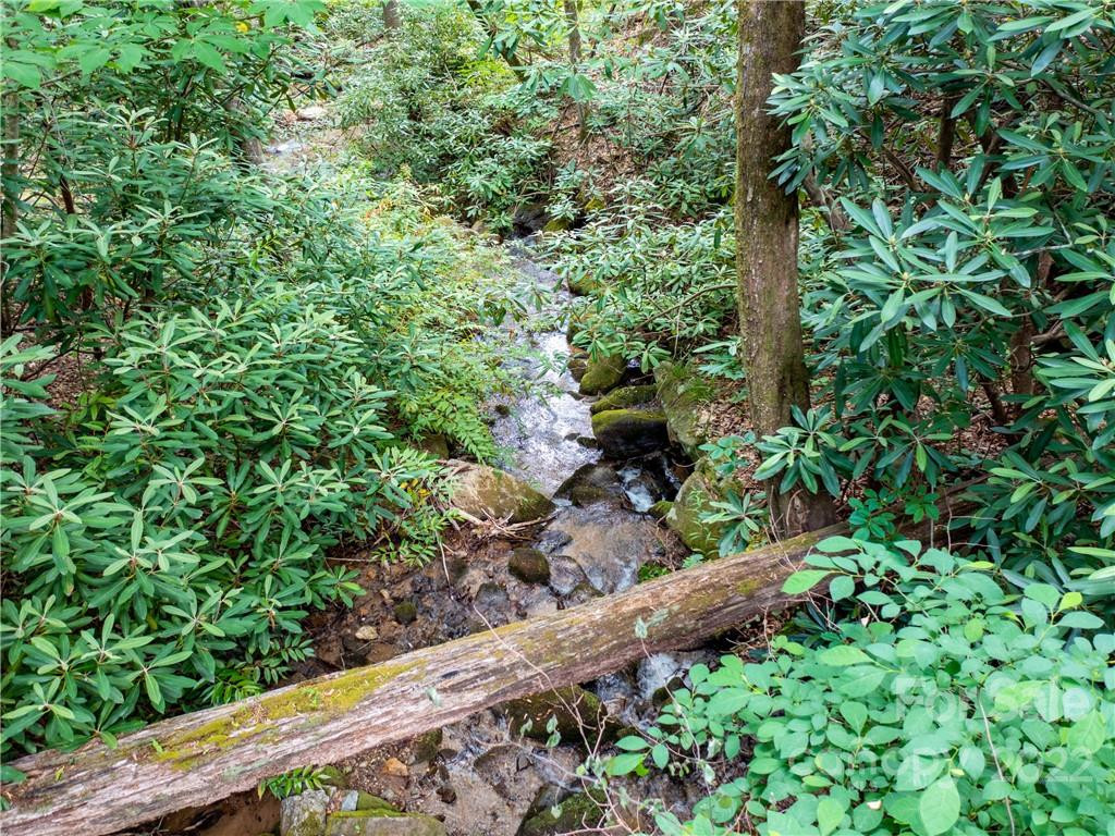 LOT 2072 Anthony Court - Photo 12