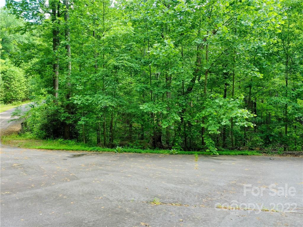 LOT 2072 Anthony Court - Photo 3