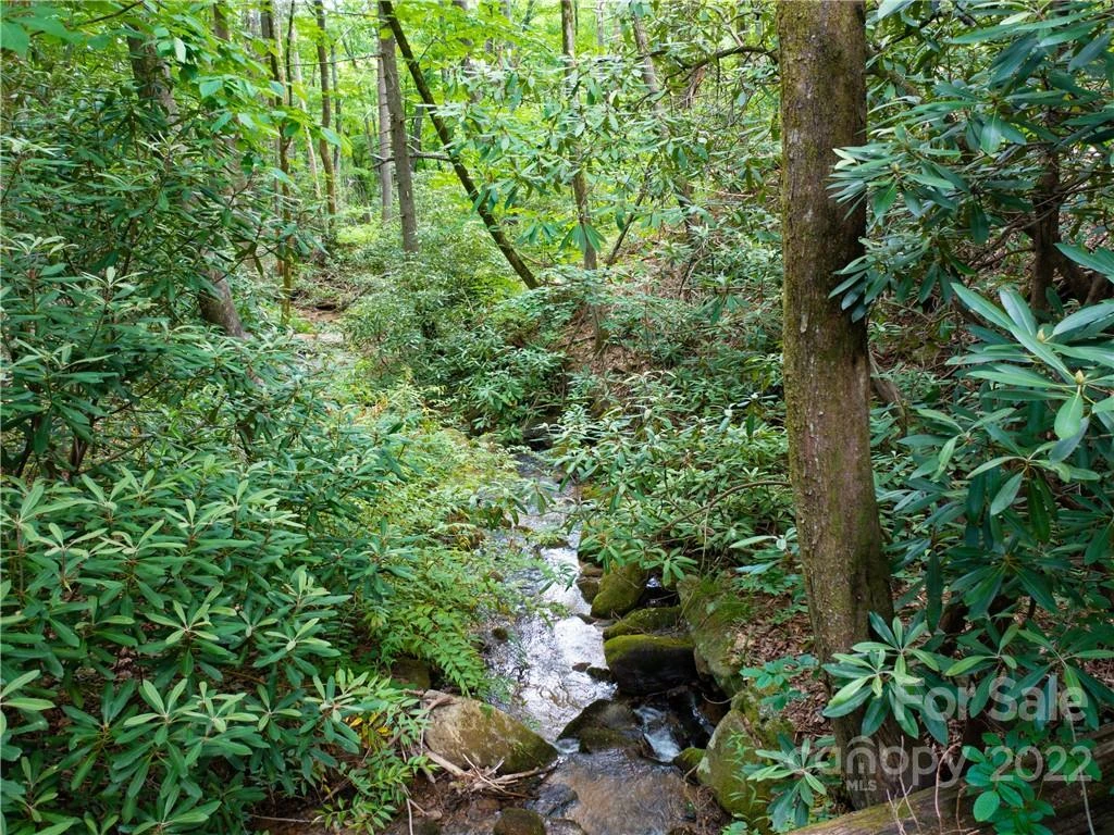 LOT 2072 Anthony Court - Photo 4