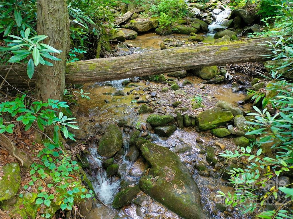 LOT 2072 Anthony Court - Photo 7