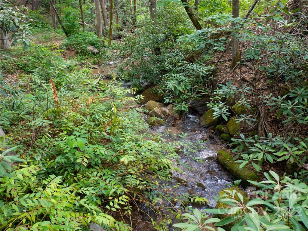 LOT 2072 Anthony Court - Photo 8