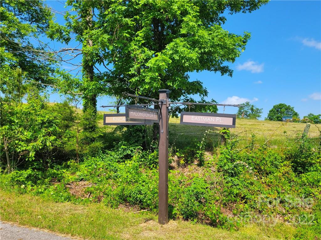 LOT 295 Eastman Place - Photo 11