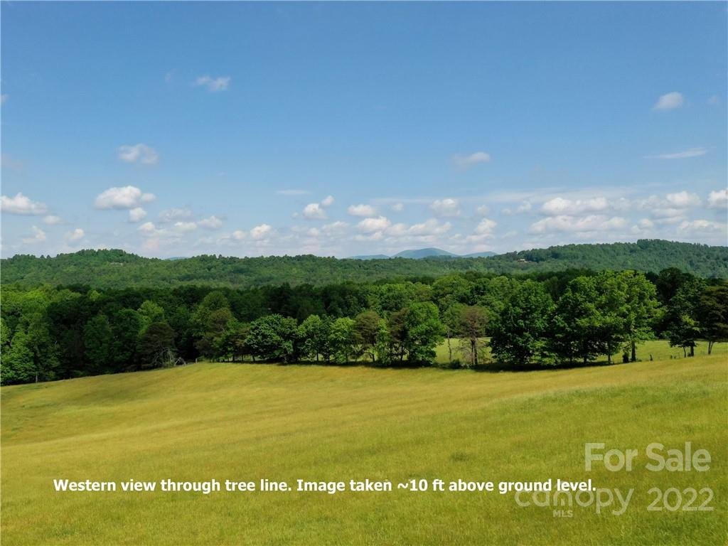 LOT 295 Eastman Place - Photo 9