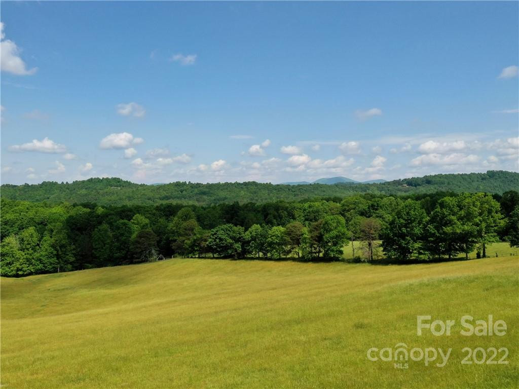 LOT 295 Eastman Place - Photo 10