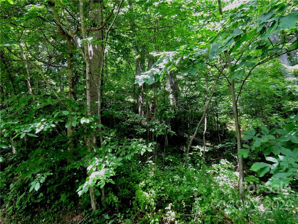 492 Freemont Drive #77 - Photo 15