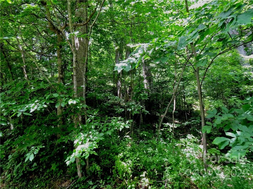 492 Freemont Drive #77 - Photo 15
